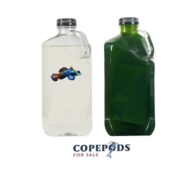 #ad LIVE Copepod 16oz Live Phytoplankton 16oz Combo CopepodsForSale FAST SHIP $28.99