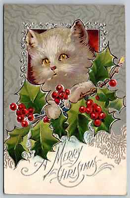 #ad White Fluffy Cat kitten with Holly Antique Embossed Christmas Postcard h675 $12.00