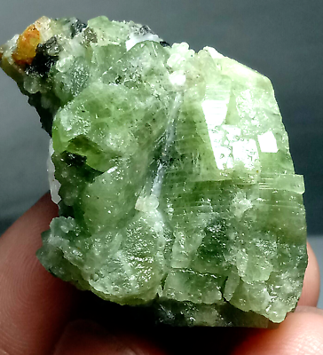 #ad 189 carat Terminated Green Diopside crystal specimen from Badkhshan Afghanistan $29.99