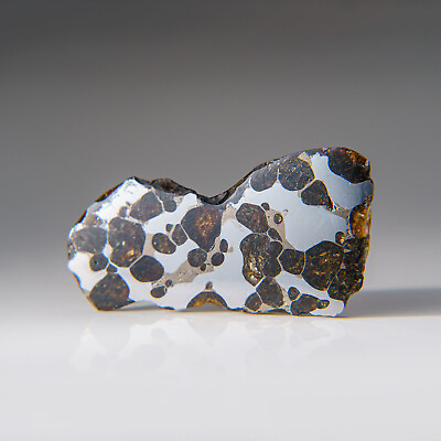 #ad Genuine Brenhama Pallasite Meteorite Slice 23.5 grams $1750.00