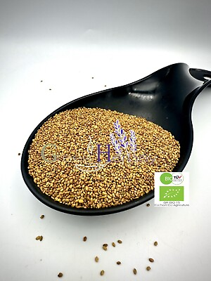 #ad Organic Alfalfa Seeds 20gr 1.9kg Medicago Sativa $65.50