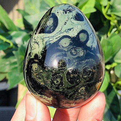 #ad 253g Natural Green KABAMBA KAMBABA Egg Jasper Crystal Mineral Specimen Healing $45.00