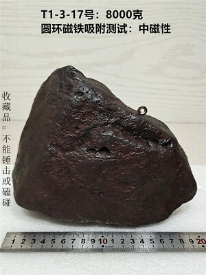 #ad 8000g Natural Iron Meteorite Specimen from China 17# $489.99