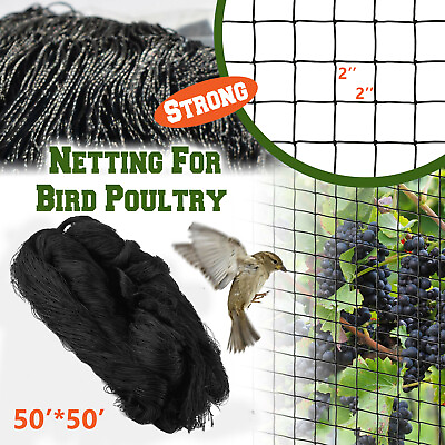 #ad 50#x27; x 50#x27; Anti Bird Netting for Poultry Quail Nets Chicken Net Barrier Garden $26.09