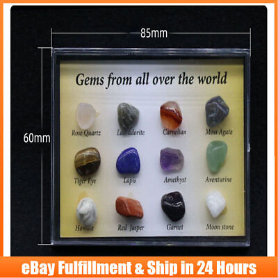 #ad 12Pcs Natural Chakra Healing Crystal Stone Mineral Rock Specimens Gemstone Decor $8.07