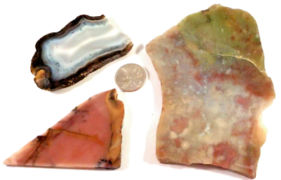 #ad 3 Beautiful Varied Agates Free Shipping Total 9.5 Oz 1st 4 Pictures Wet #3269 $19.99