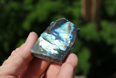 #ad Labradorite Spectrolite Specimen Natural Mineral Crystal US Seller FREE Ship $14.99