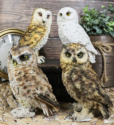 #ad Realistic Colorful Nocturnal Snowy Barn Great Horned Owl Birds Figurine Set of 4 $37.99