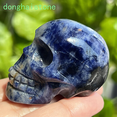 #ad 2quot; Natural sodalite skull Quartz Carved Crystal Skull gem Reiki Healing 1pc $14.29