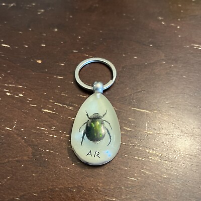 #ad Real Insect Key Chain Green Rose Beetle Resin Arkansas AR Key Chain $8.99