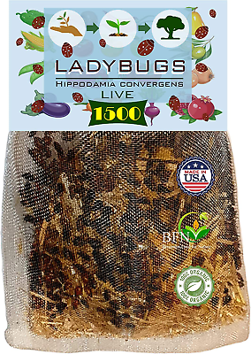 #ad 1500 Live Ladybugs for Garden Good Bugs Guaranteed Live Delivery $29.99