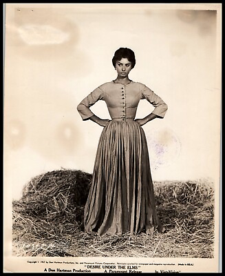#ad Hollywood Beauty SOPHIA LOREN STUNNING PORTRAIT 1957 STYLISH POSE Photo 677 $17.99