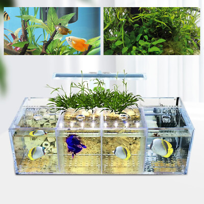 #ad Acrylic Aquarium Tank With LED Lights 4 Grids Fishes Tank Betta Fish Tank NEW US $51.70