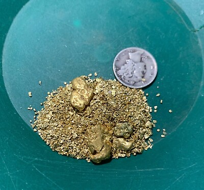 #ad Gold Paydirt 8 lbs Unsearched Guaranteed Gold Panning Pay Dirt Gold Nuggets Bag $42.99