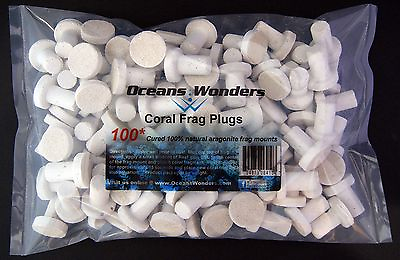100 CURED REEF PLUGS FOR LIVE CORAL FRAG PROPAGATION great for sps lps zoo zoa $19.99