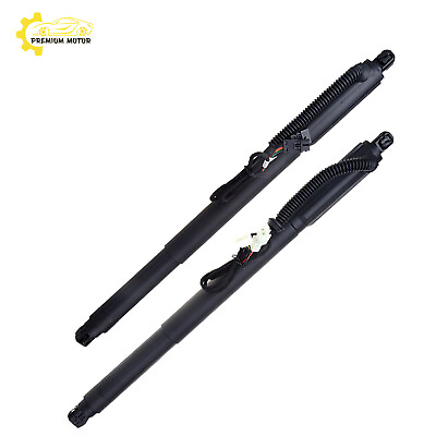 #ad 2x For 2012 2014 BMW X6 LeftRight Rear Lift Support Power Struts Gas Spring $149.59