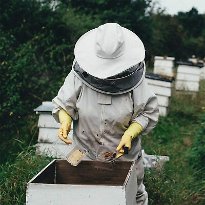 #ad #ad Hive Beekeeping Suit Beekeeping Bee Protective Clothing Beekeeping Suit XL $28.06