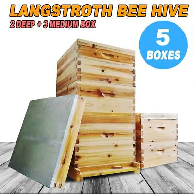 #ad #ad Langstroth Bee Hive 10 Frame size Beehive Beekeeping Kits 2 Deep 3 Medium Boxes $142.99