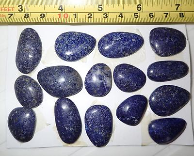 #ad Lapis Lazuli Stone Free Shape Flat Cabochon 328.5 Carat 15 pieces $15.00