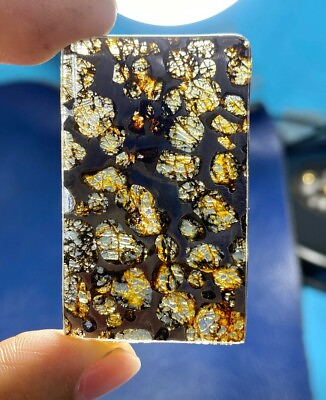 #ad SERICHO pallasite Meteorite slice olive iron Meteorite from Kenya 31*51mm $99.00