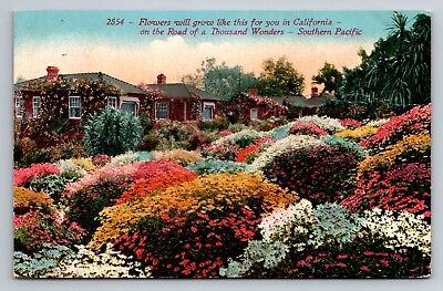 #ad Flowers Will Grow For You Like In California Thousand Wonders Road 1911 Postcard $4.90