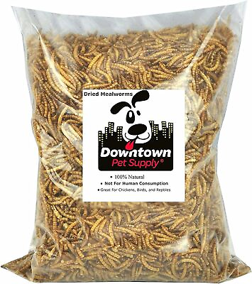 #ad Downtown Pet Supply 1 2 LB Dried Mealworms for Wild Birds Poultry Reptiles an $269.88