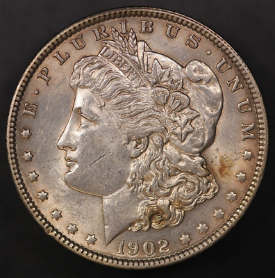 #ad 1902 MORGAN SILVER DOLLAR FRESH FROM AN OLD COLLECTION LOT AA 7794 $56.99