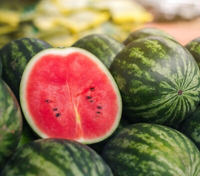 #ad Greybelle Watermelon Seeds Heirloom Non GMO Fresh Garden Seeds $160.00