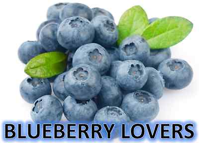 #ad BLUEBERRY LOVERS COLLECTION Soy Wax Clamshell Break Away tart melt candle $5.33