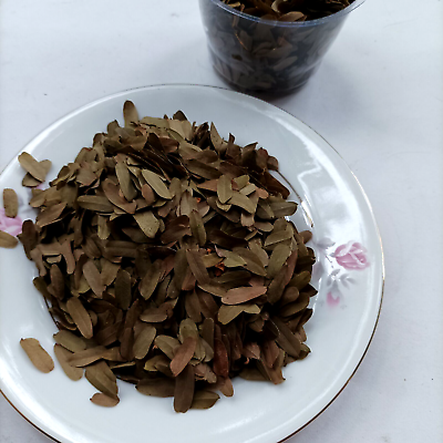 #ad Tamarind Dried Pure Leaves 100% Organic Ceylon Herbal Natural Leaf Whole 100g $19.99