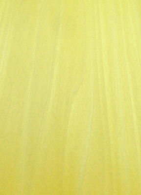 #ad Yellow Poplar Dyed wood veneer 6quot; x 11quot; raw no backing 1 42quot; thickness A grade $22.50