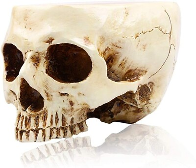 #ad Halloween Decoration Retro Human Skull Head Flower Pot Planter Bed Box Container $9.99