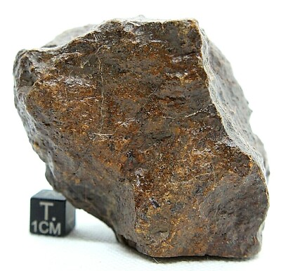 #ad meteorite incredible show piece meteorite 285 gram gorgeous meteorite SPACE $295.00