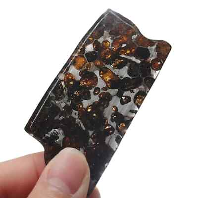 #ad 25.8g SERICHO pallasite Meteorite slice from Kenya TA431 $59.00