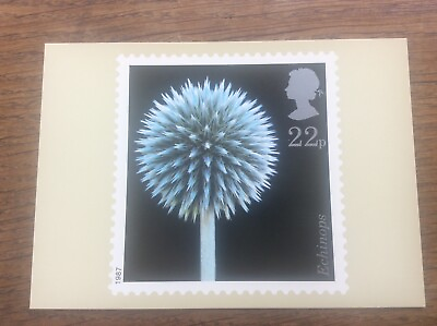 #ad Echinops Flowers Postcard 1987 Post Office Stamp Alfred Lammer GBP 5.99