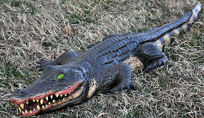 #ad Fake Alligator Prop 4 Feet Long Crocodile Swamp Halloween Decoration $87.99