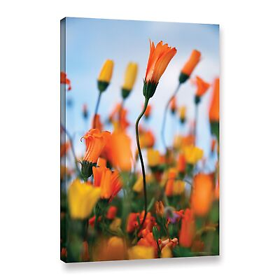 #ad ArtWall Elena Ray #x27;African Daisy 2#x27; Gallery wrapped Canvas Small $31.99