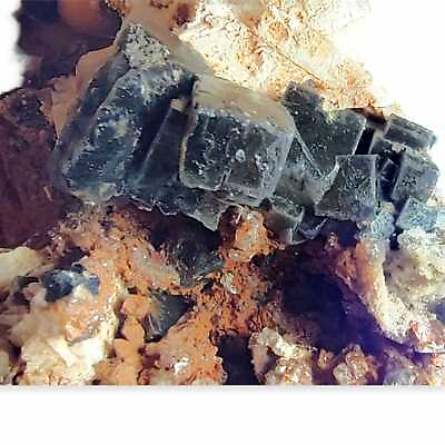 #ad 1.7 LB Fluorite Cubic Crystal Mineral Rare Collection 791g Specimen Ojuela Mine $79.99