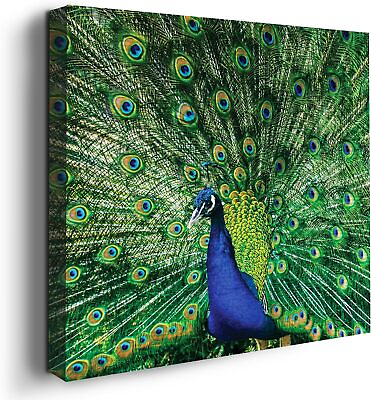 #ad Peacock Bird Wall Decor Theme HD Printed amp; Wooden Wall Art for Gift $33.99