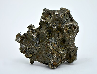 #ad 18.32g Sericho Pallasite Meteorite I Sculpted meteorite I TOP METEORITE $185.00