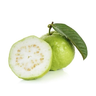 #ad 300 Green Crystal White Guava Seeds Psidium guajava Seeds Organic Fruit $49.00