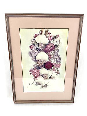 #ad Framed Garlic Clove And Straw Flower Print Asian $19.00