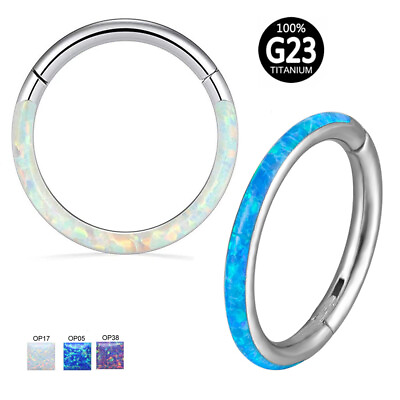 #ad G23 Titanium Nose Ring Front amp; Side Opal Hoop Hinge Septum Ear Body Piercing C $9.99