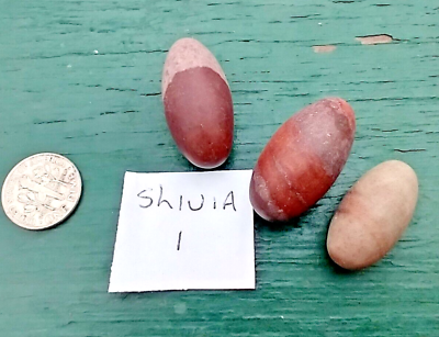 #ad Narmada River Shiva Lingam Natural Stone Approx Pack of 3 Positive Energy 1 inch $7.48