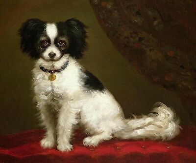 #ad High quality Oil painting cute dog sitting on sofa hand painted in oil on canvas $79.20