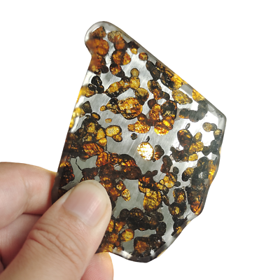 #ad 53.4G SERICHO pallasite Meteorite slice from Kenya TA266 $112.64