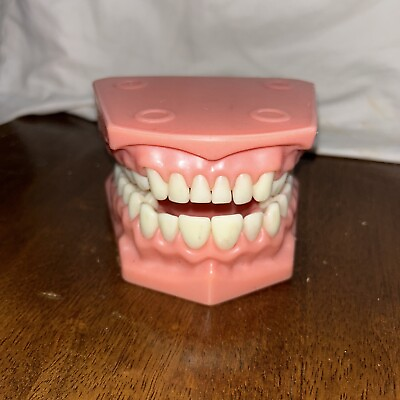 #ad School Learning Large Mouth and Teeth Model Dentist Hygiene Learning C3 $79.95