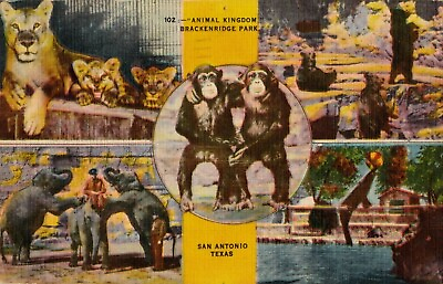 #ad Vintage Animal Kingdom Brackenridge Park Texas 1950 Postcard Sent Written On $2.95