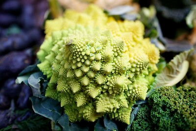 #ad 1000 Romanesco Broccoli Seeds Non GMO Heirloom USA Seller Free Shipping $3.99