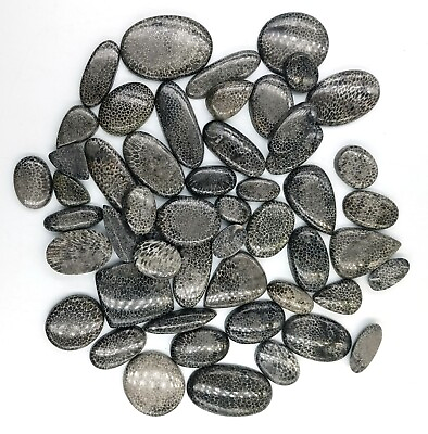 #ad Black Fossil Cabochon Natural Fossil handmade gemstone Loose Gemstone 71776 $59.54